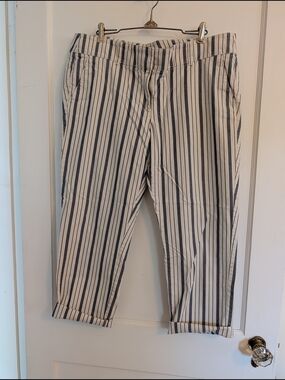 LOFT White and Navy Vertical Stripe Women's Chinos